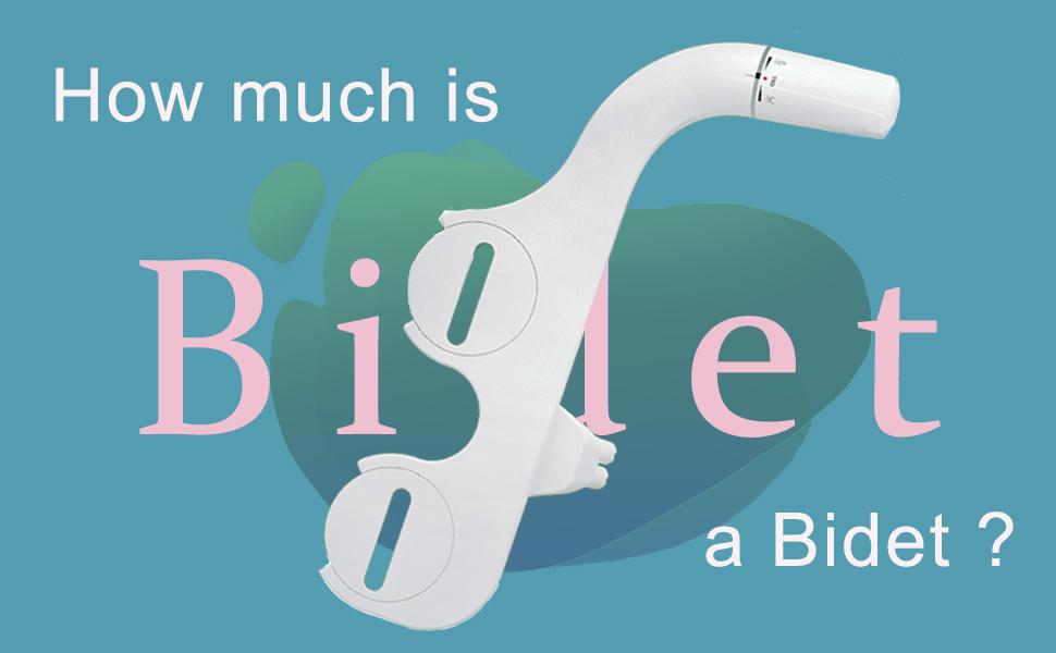 How Much is a Bidet?